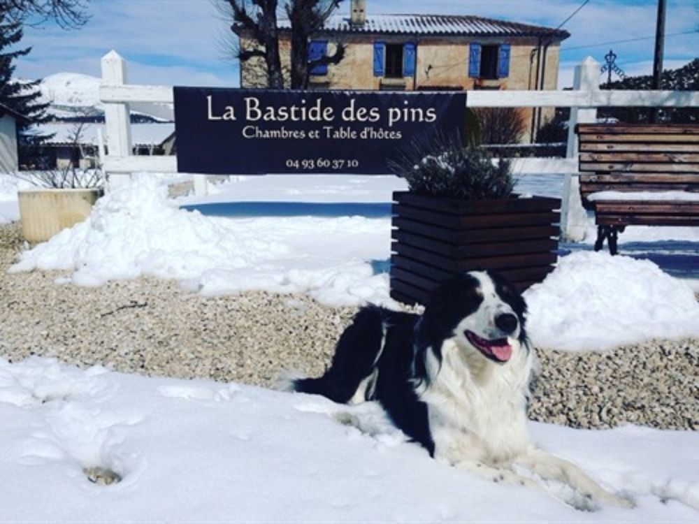 La Bastide Des Pins Otel Dış mekan fotoğraf